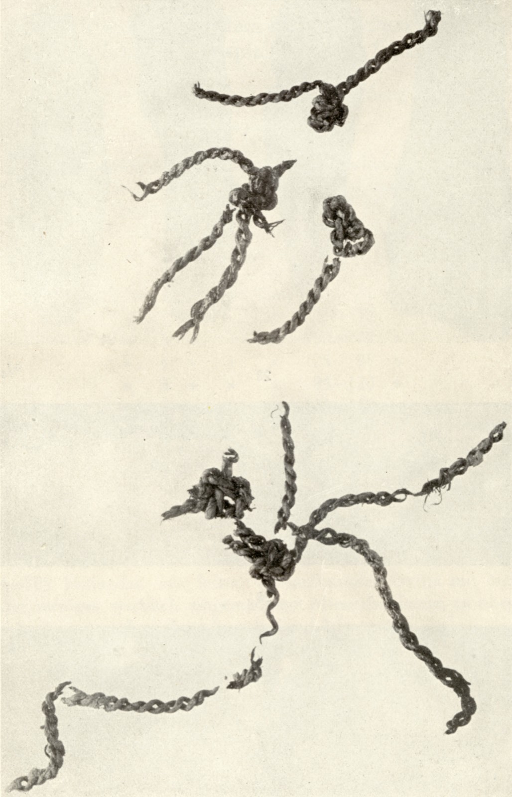 The Antrea net — among the world’s oldest surviving fishing nets, more than eight thousand years old.