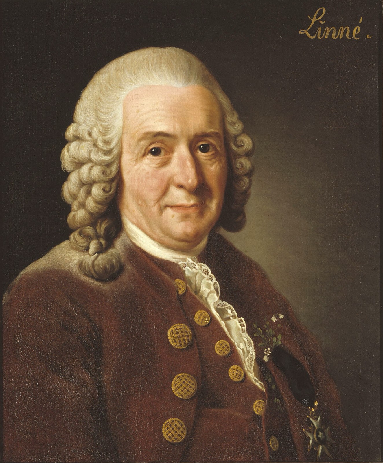 Carl Linnaeus, painted by Alexander Roslin — Swedish science in the age after empire.